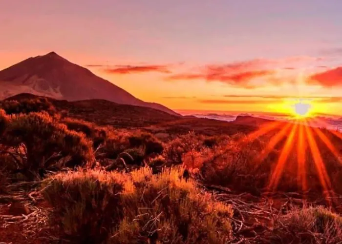 Apartment Edificio Marta La Caleta