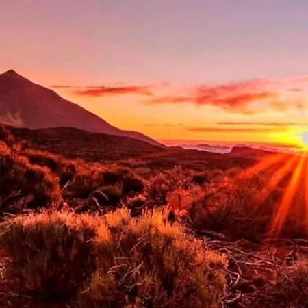 Apartment Edificio Marta La Caleta